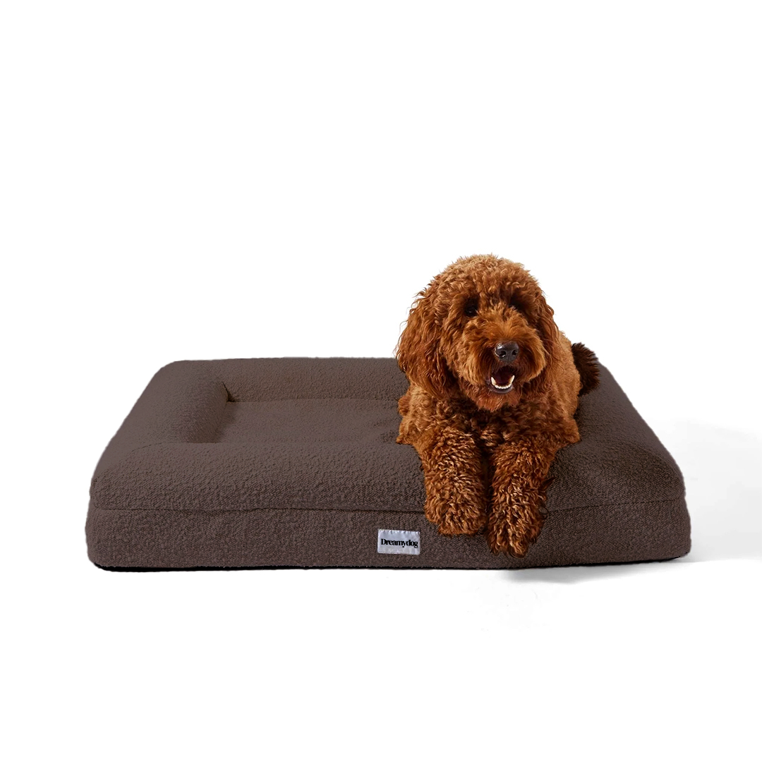 Orthopedic Dog Bed - Bouclé Choco Brown