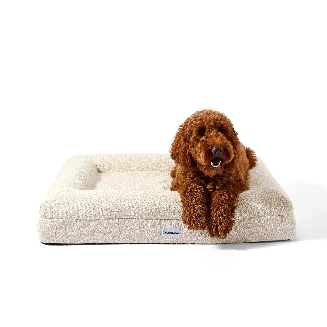 Orthopedic Dog Bed - White Bouclé