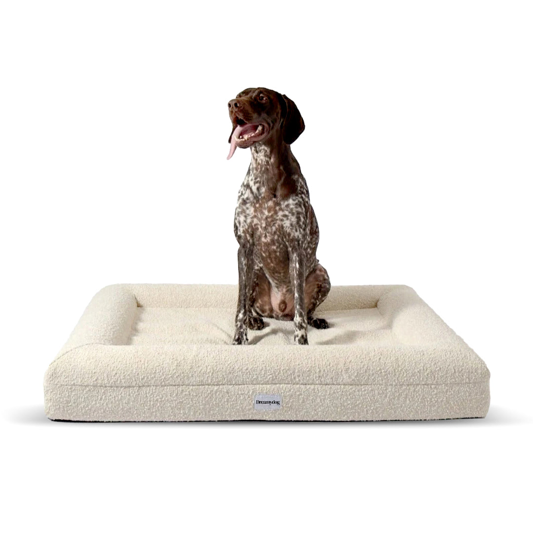 Orthopedic Dog Bed - White Bouclé
