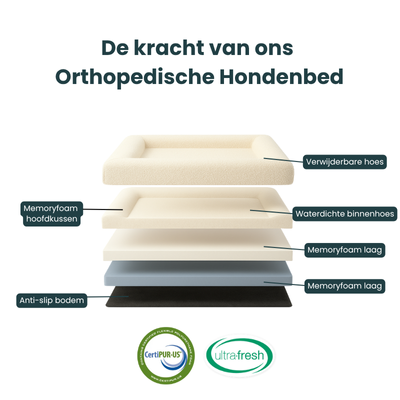 Orthopedic Dog Bed + Extra Cover Bundle