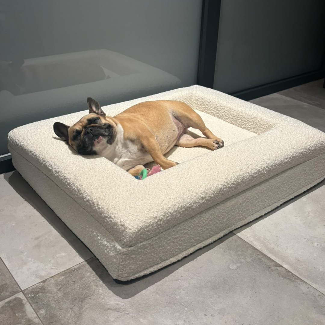 Orthopedic Dog Bed + Extra Cover Bundle