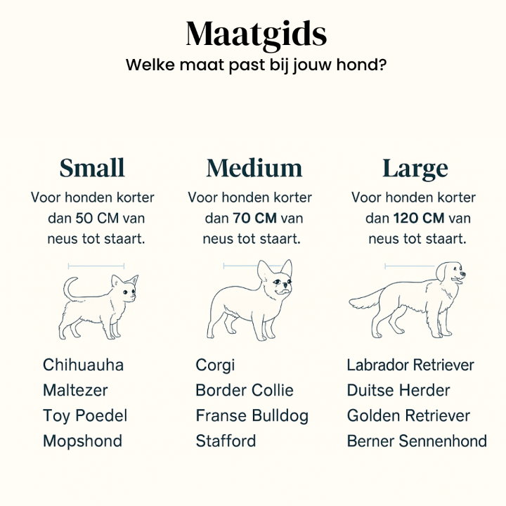 Orthopedic Dog Bed - Bouclé Choco Brown