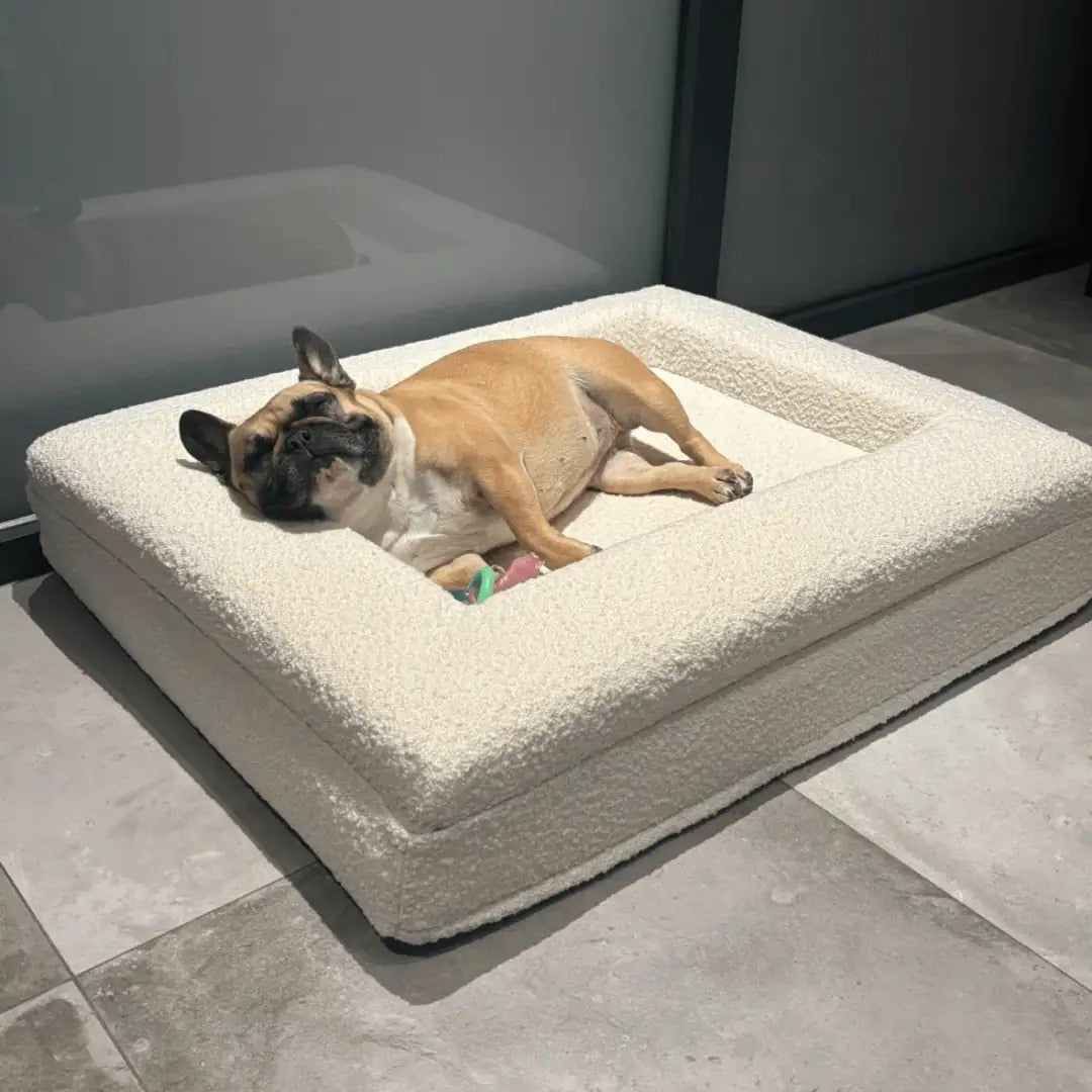 Hondenkussen Orthopedisch + Extra Hoes Bundel - Dreamydog -