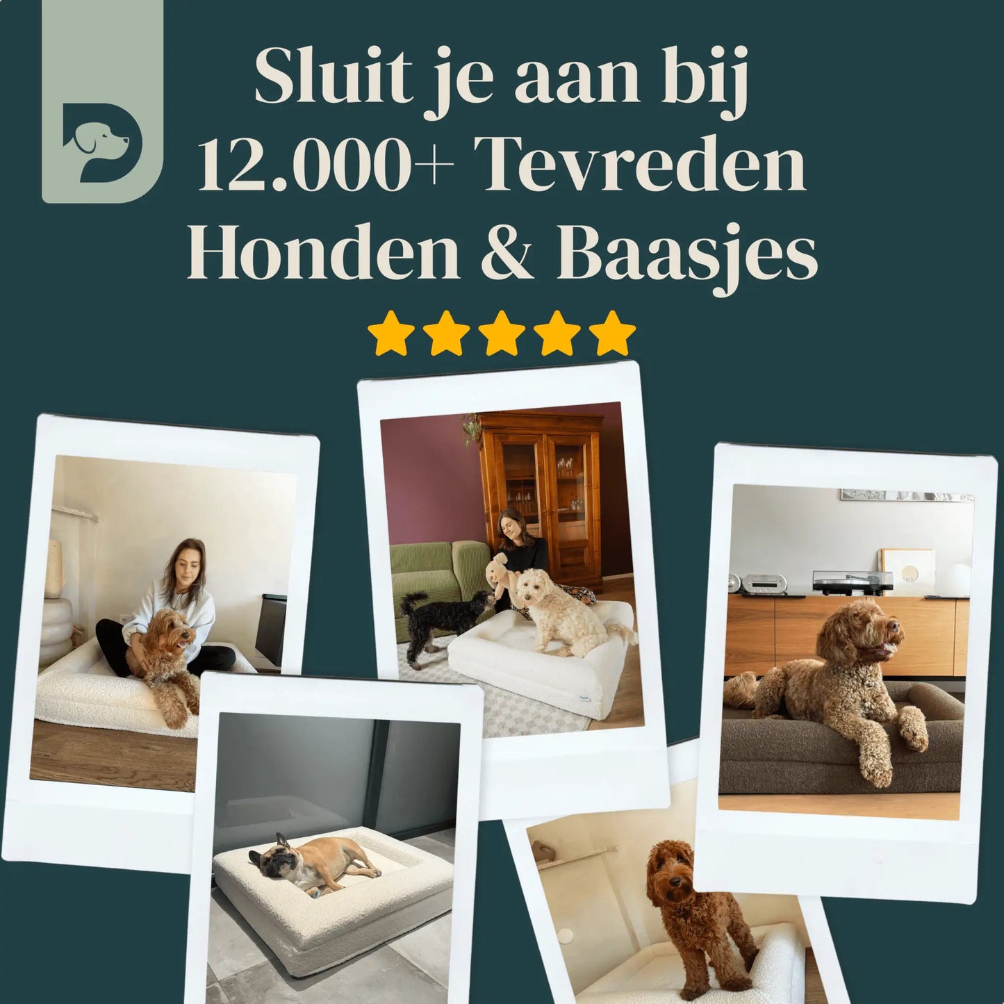 Hondenkussen Orthopedisch + Extra Hoes Bundel - Dreamydog -