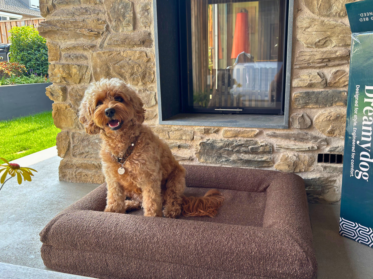 Orthopedic Dog Bed + Extra Cover Bundle