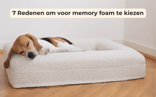 7 redenen om een traagschuim hondenkussen te kopen - Dreamydog