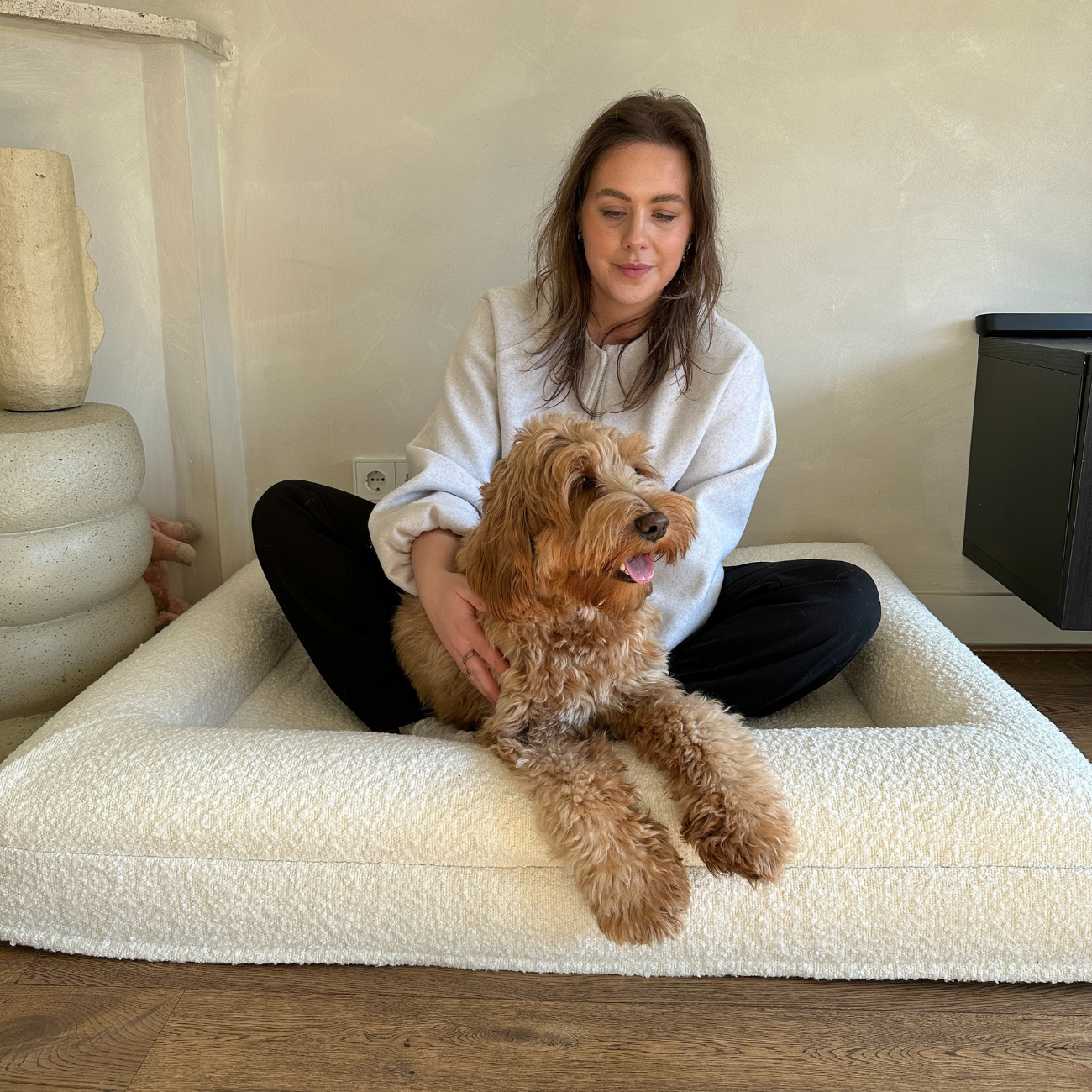 Dreamydog Ervaringen