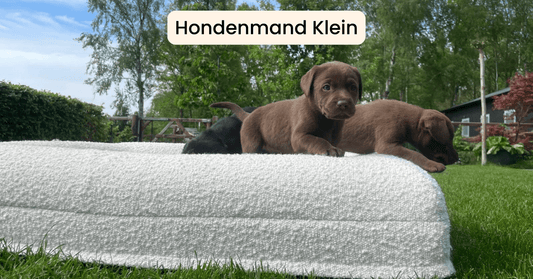 Hondenmand klein: de perfecte slaapplek voor kleine viervoeters - Dreamydog