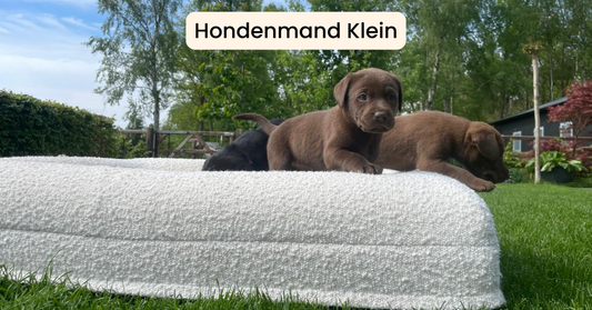 Dreamydog Hondenmand Klein