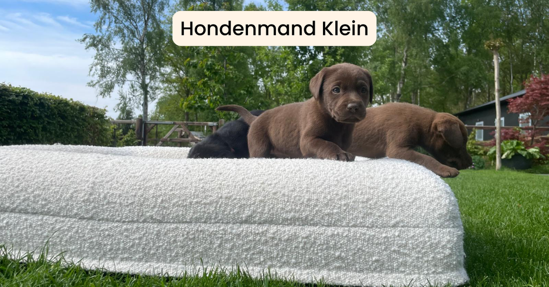 Dreamydog Hondenmand Klein