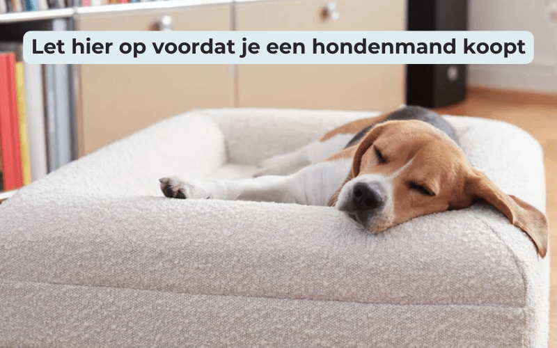 Let hier op bij het kopen van een orthopedische hondenmand - Dreamydog