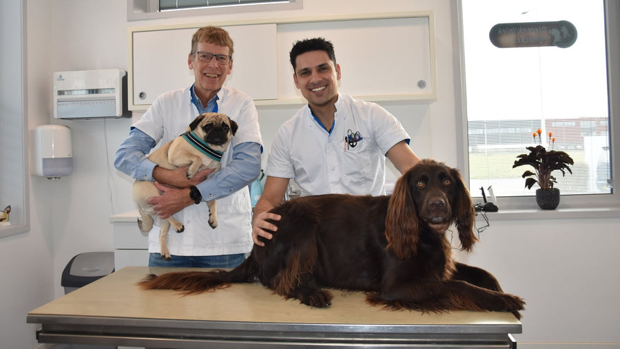 Waarom Dierenkliniek Pijnacker DreamyDog aanbeveelt