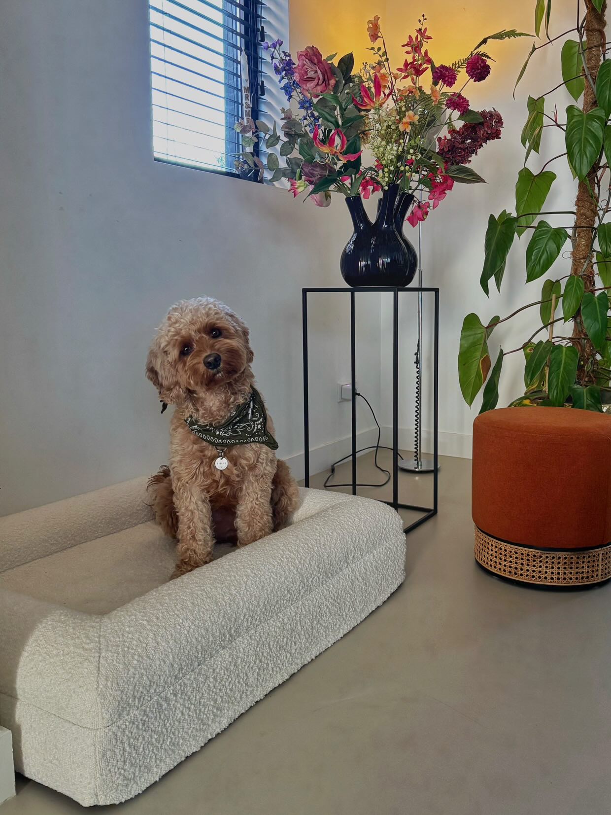 Orthopedic Dog Bed - Bouclé White