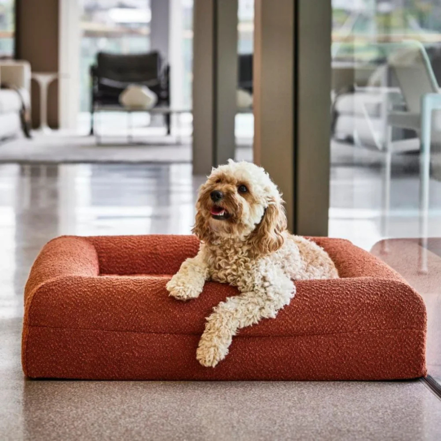 Cover - Bouclé Choco