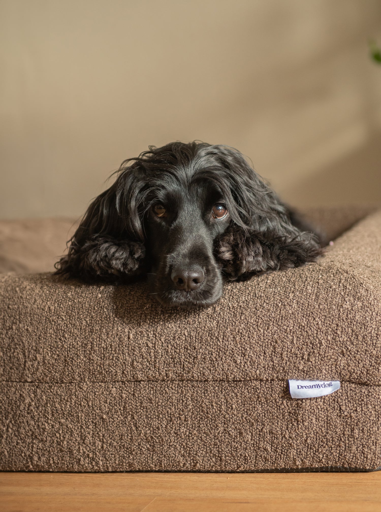 Dreamydog Hondenbed orthopedisch