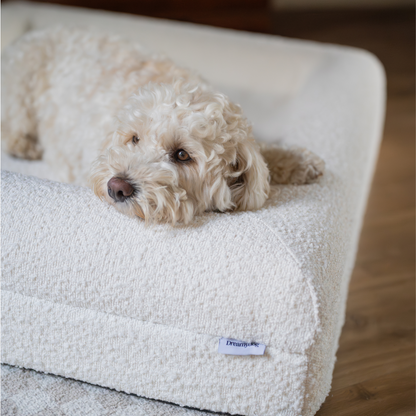 Orthopedic Dog Bed - White Bouclé