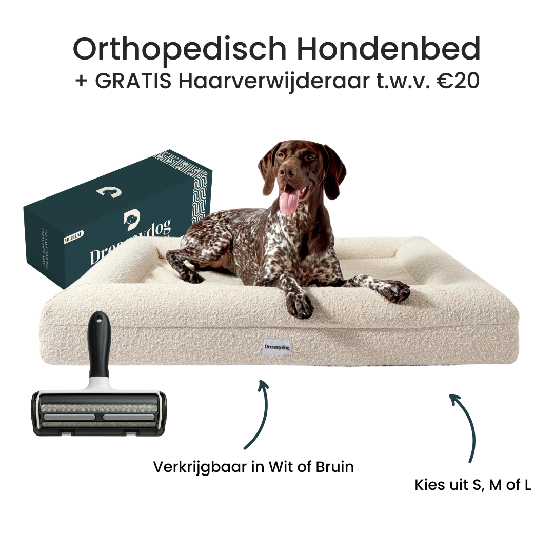 Orthopedic Dog Bed - Bouclé White
