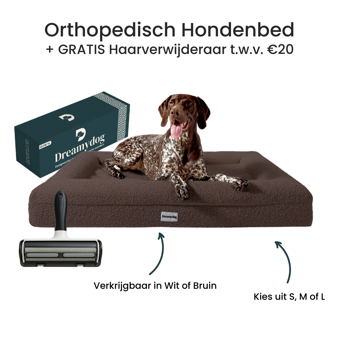 Orthopedic Dog Bed - Bouclé Choco Brown