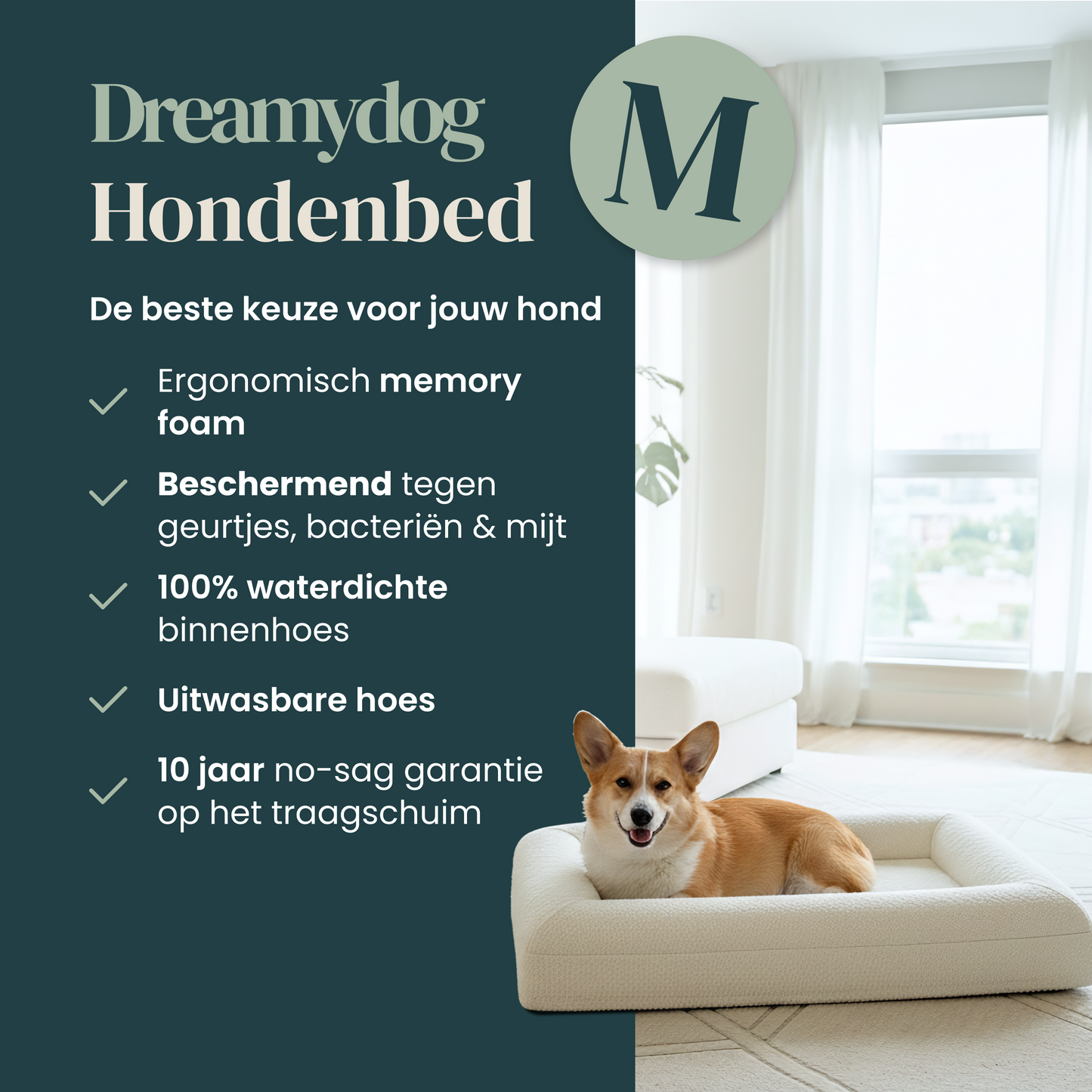 Orthopedic Dog Bed - White Bouclé