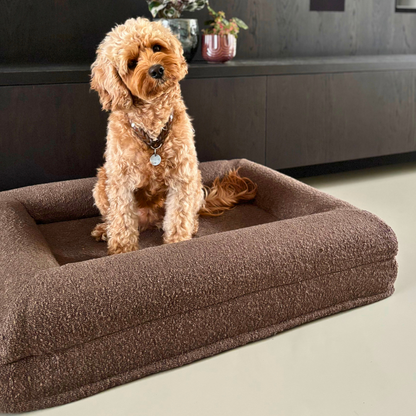Orthopedic Dog Bed - Bouclé Choco Brown
