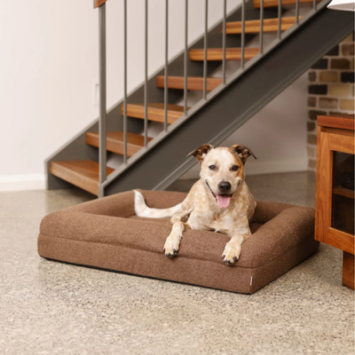 Orthopedic Dog Bed - Bouclé Choco Brown