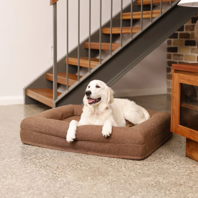 Orthopedic Dog Bed - Bouclé Choco Brown
