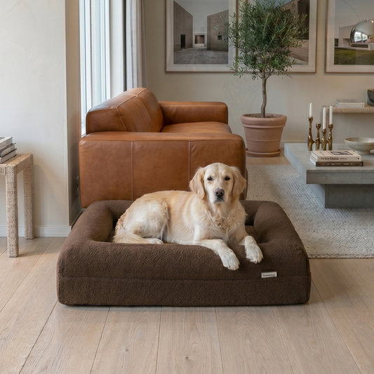 Orthopedic Dog Bed - Bouclé Choco Brown