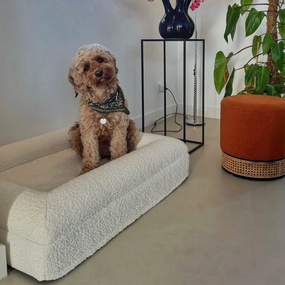 Orthopedic Dog Bed - White Bouclé