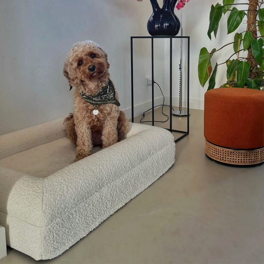 Orthopedic Dog Bed - White Bouclé
