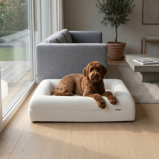 Orthopedic Dog Bed - White Bouclé