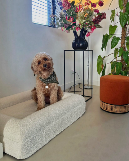 Orthopedic Dog Bed + Extra Cover Bundle