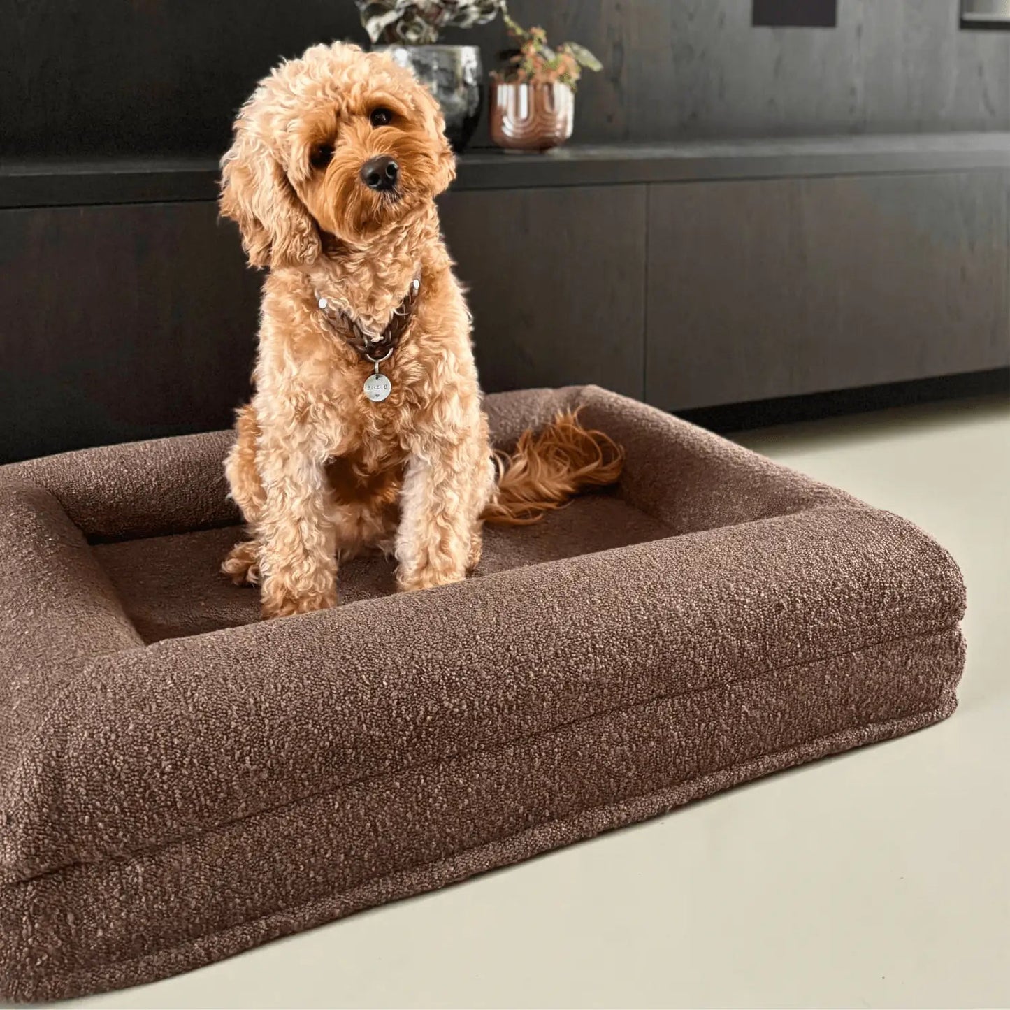 Hoes - Bouclé Choco Bruin - Dreamydog - Hoes