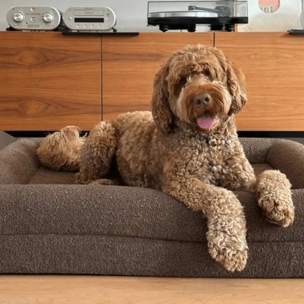 Hoes - Bouclé Choco Bruin - Dreamydog - Hoes