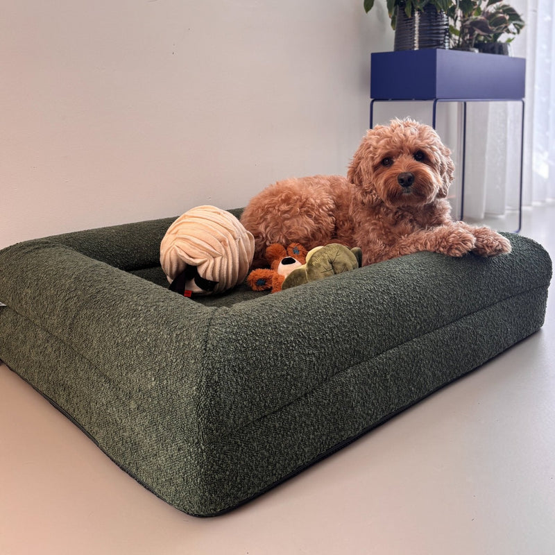 Hoes - Bouclé Forest Green - Dreamydog - Hoes