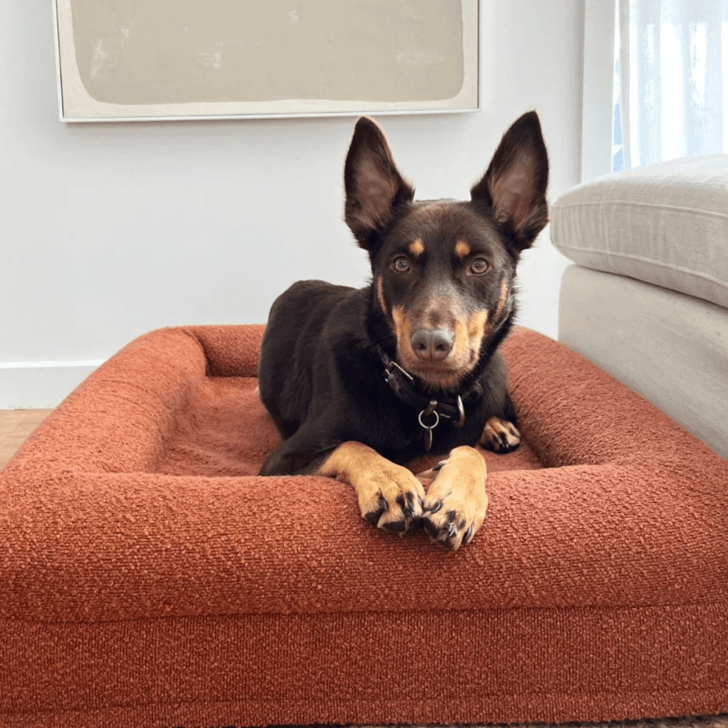 Hoes - Bouclé Terracotta - Dreamydog - Hoes