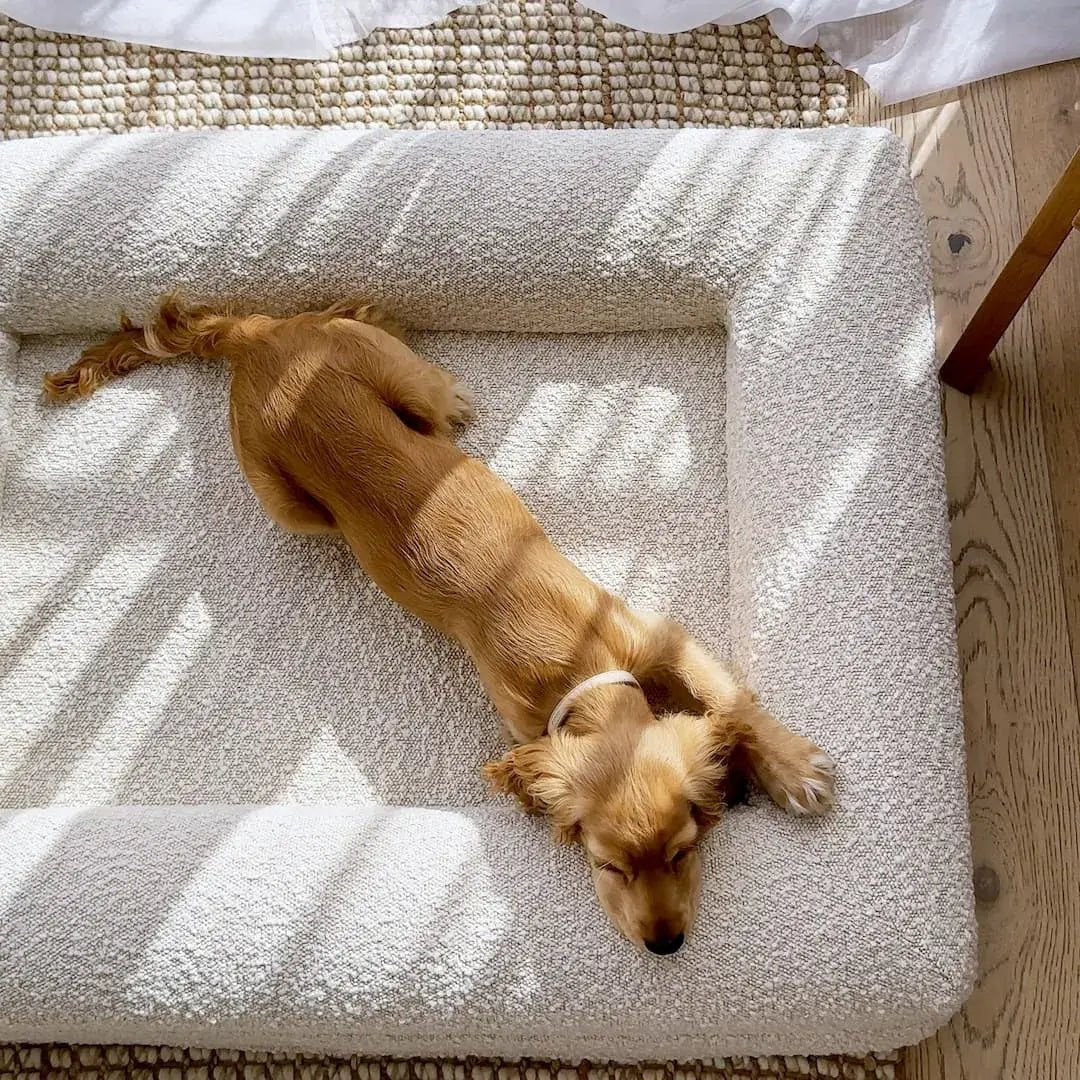 Hoes - Bouclé Wit - Dreamydog - Hoes