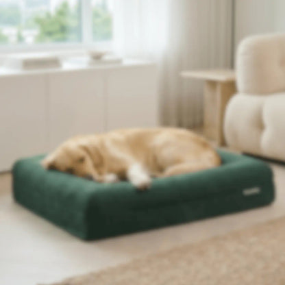 Hondenkussen Orthopedisch + Extra Hoes Bundel - Dreamydog - 
