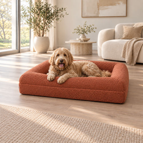 Orthopedic Dog Bed - Bouclé Terracotta