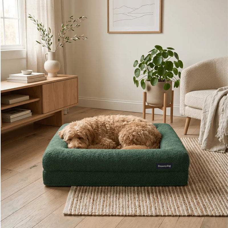 Orthopedisch hondenkussen - Bouclé Forest Green - Dreamydog - Hondenkussen