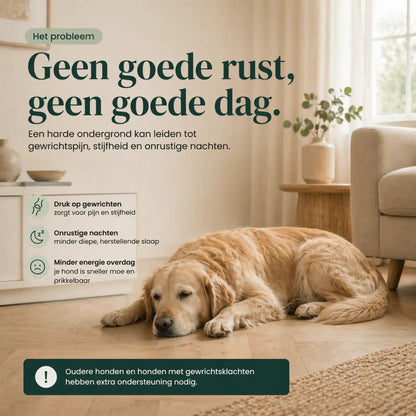 Orthopedisch hondenkussen - Bouclé Forest Green - Dreamydog - Hondenkussen