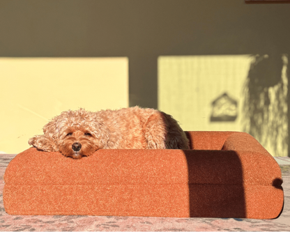 Orthopedisch hondenkussen - Bouclé Terracotta - Dreamydog - Hondenkussen