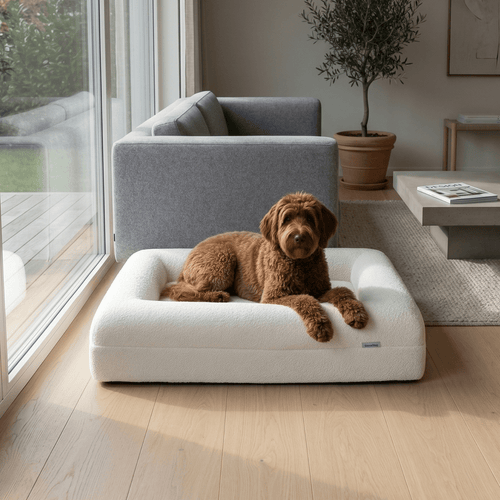 Orthopedisch hondenkussen - Bouclé Wit - Dreamydog - Hondenkussen