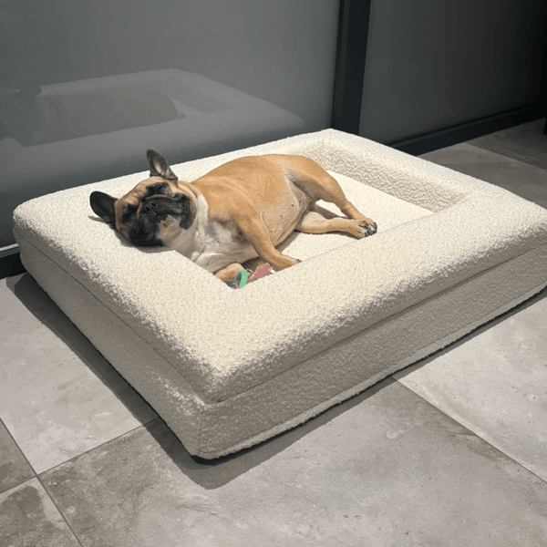 Orthopedisch hondenkussen - Bouclé Wit - Dreamydog - Hondenkussen