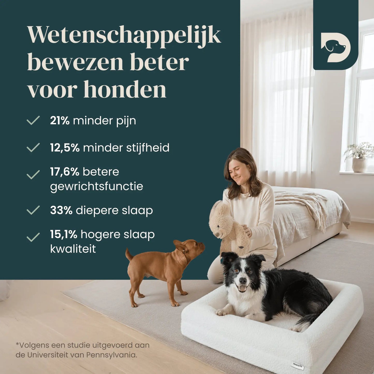 Orthopedisch hondenkussen - Bouclé Wit - Dreamydog - Hondenkussen