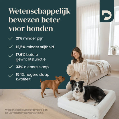 Orthopedisch hondenkussen - Bouclé Wit - Dreamydog - Hondenkussen