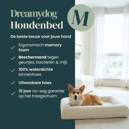 Orthopedisch hondenkussen - Bouclé Wit - Dreamydog - Hondenkussen