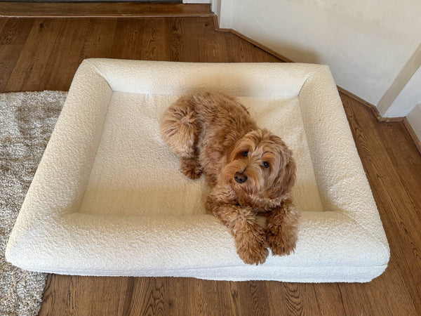 Orthopedisch hondenkussen - Bouclé Wit - Dreamydog - Hondenkussen