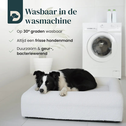 Orthopedisch hondenkussen - Bouclé Wit - Dreamydog - Hondenkussen