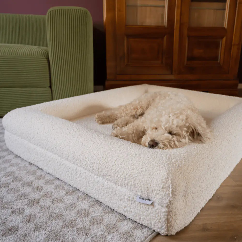Orthopedische Hondenbedden - Dreamydog