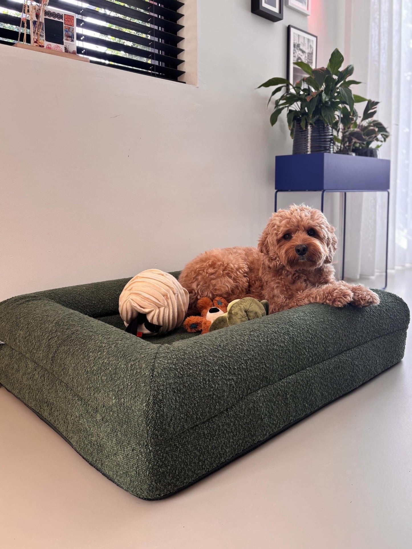 Orthopedische Hondenmand - Bouclé Forest Green - Dreamydog - Hondenkussen